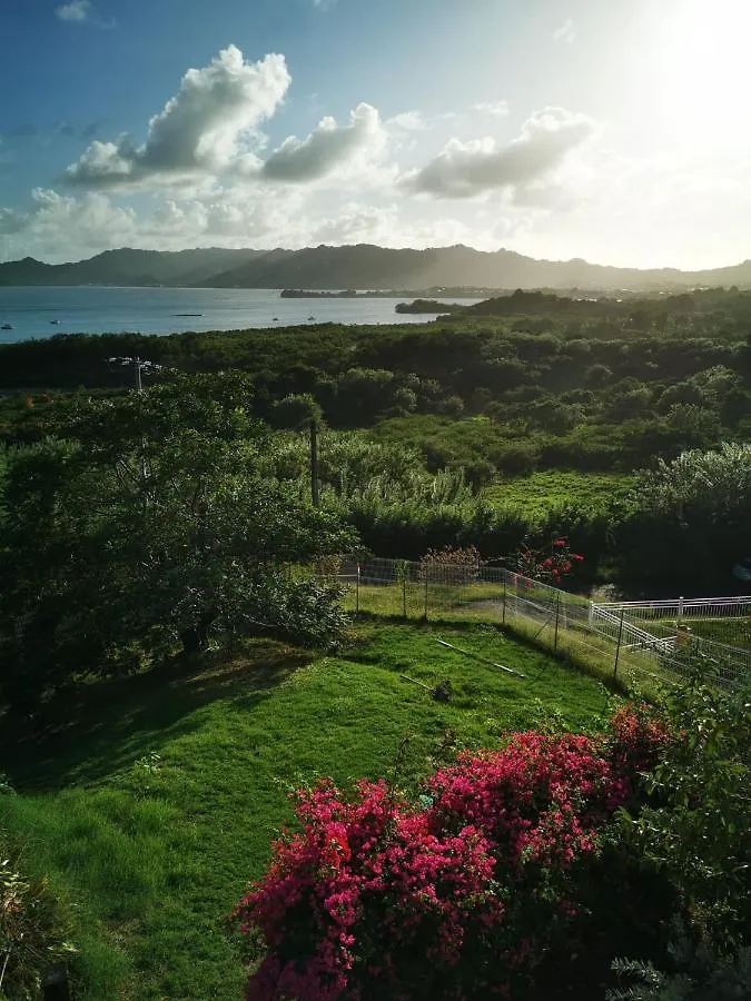 Vue Sur Mer A La Villa Parme Le Robert 0*,