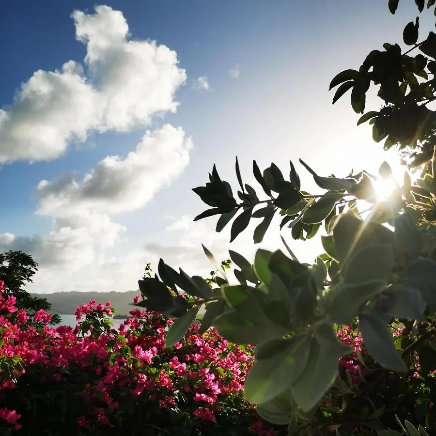 Vue Sur Mer A La Villa Parme Le Robert 0*,  Martinique
